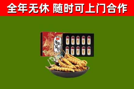 襄垣回收冬虫夏草价格